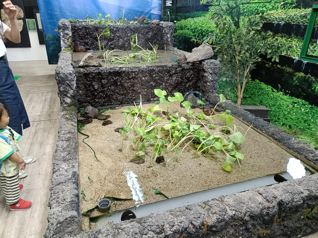 伊豆わさびミュージアム
