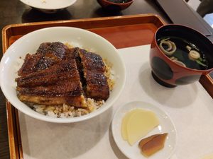 老鰻亭 魚関